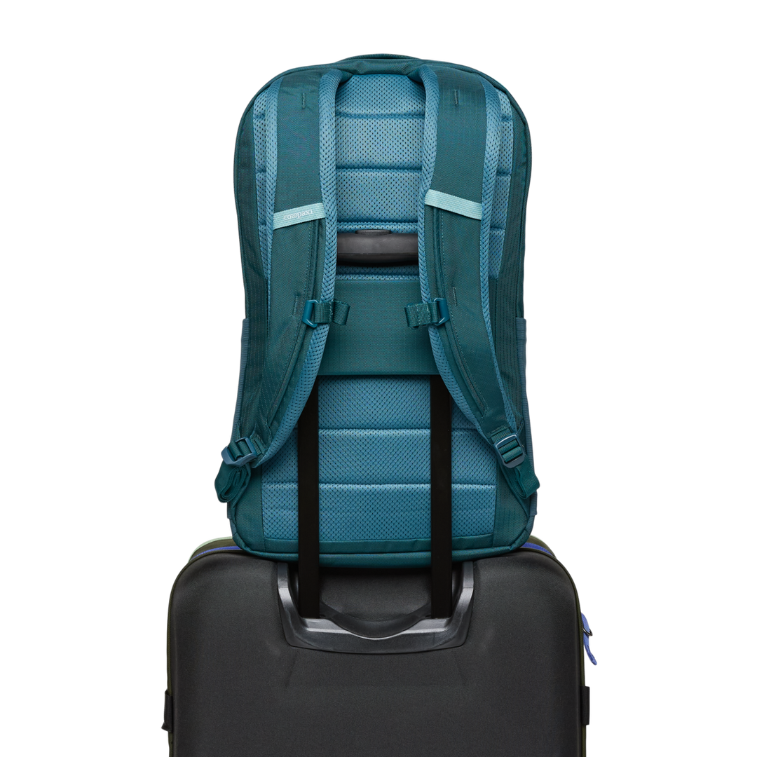 Cotopaxi Allpa 26L Daypack in multiple colorways showing front, back, and detail views - View 7