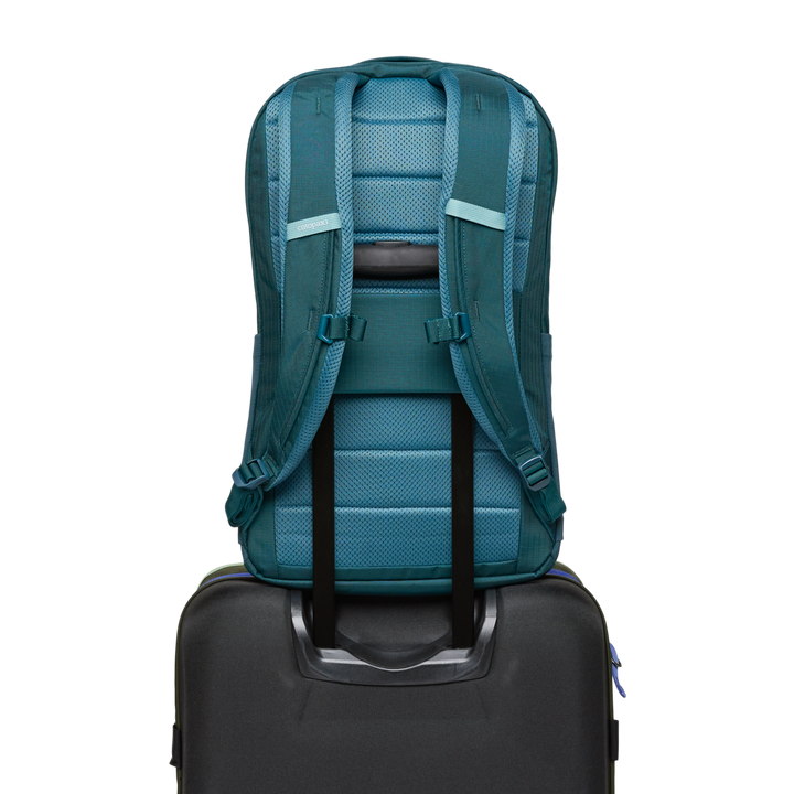 Cotopaxi Allpa 26L Daypack in multiple colorways showing front, back, and detail views - View 7