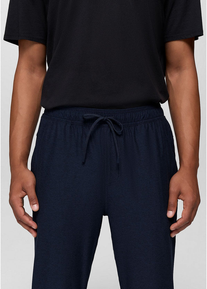 Prana Men's Altitude Tracker LT Jogger Nautical Heather2