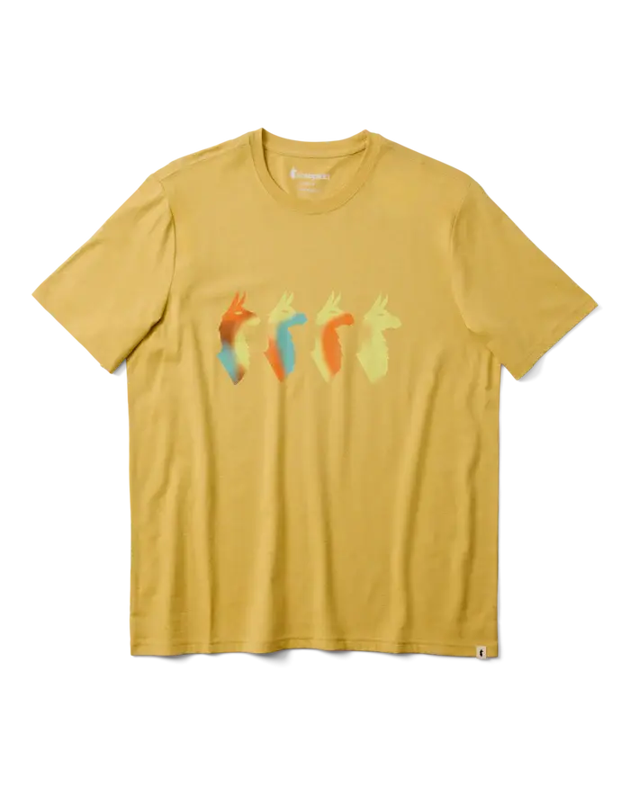 Cotopaxi Men&