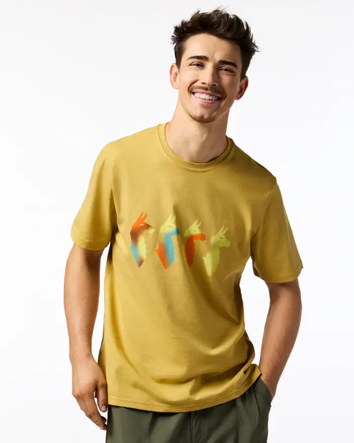 Cotopaxi Men's Cuatro Bitmap T-Shirt - Husk 