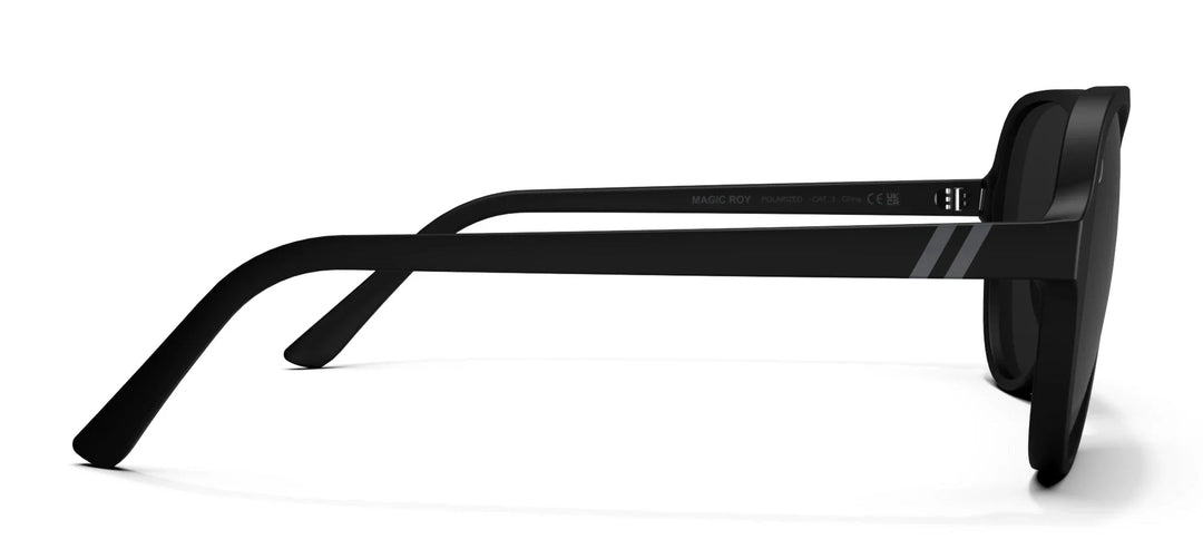 Blenders Skyway Polarized Sunglasses Magic Roy