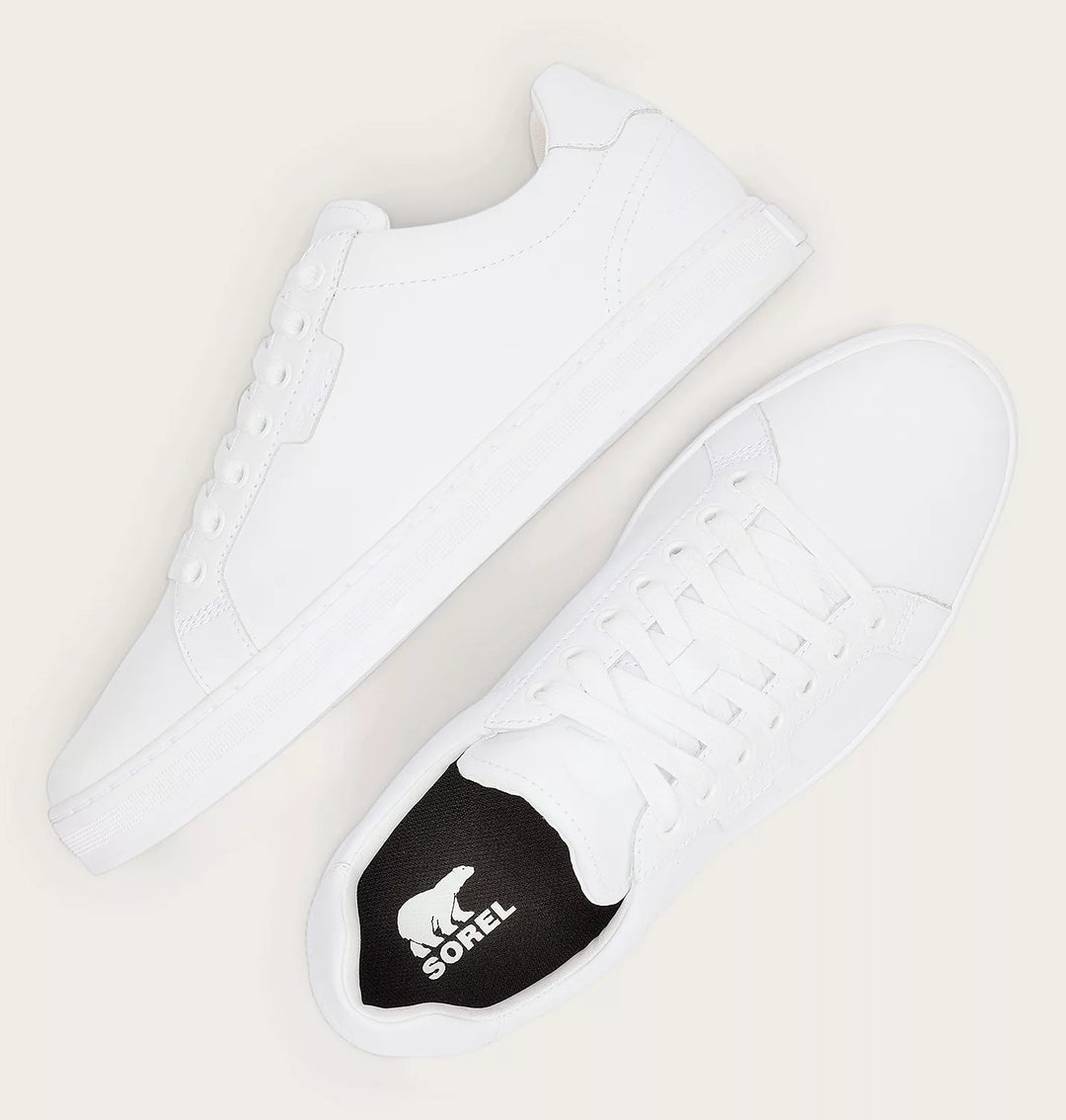 Sorel Men's Cyprus Waterproof white Sneaker top view on white background.