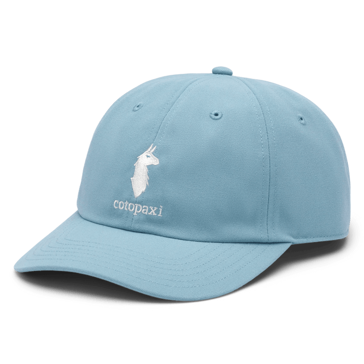 Cotopaxi - Cotopaxi Dad Hat - The Shoe Collective