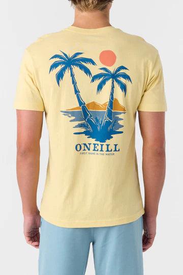 Oneill - Oneill Men's Dos Hermanos Tee - The Shoe Collective